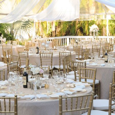 Chiavari Chair Hire Chivary Banquet Chair Rental